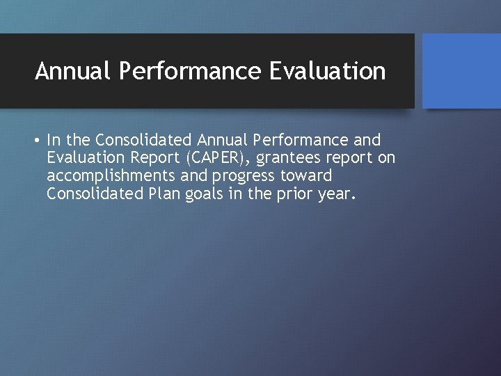 Annual Performance Evaluation • In the Consolidated Annual Performance and Evaluation Report (CAPER), grantees