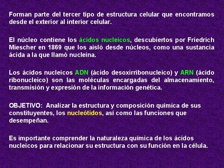 Forman parte del tercer tipo de estructura celular que encontramos desde el exterior al