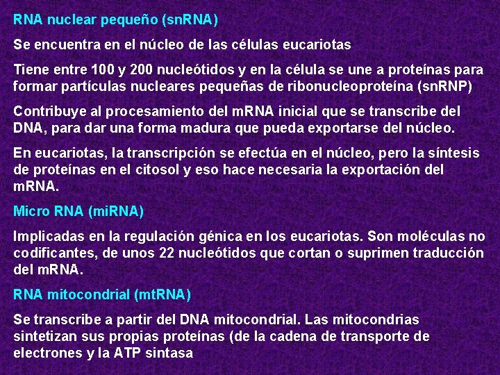 RNA nuclear pequeño (sn. RNA) Se encuentra en el núcleo de las células eucariotas