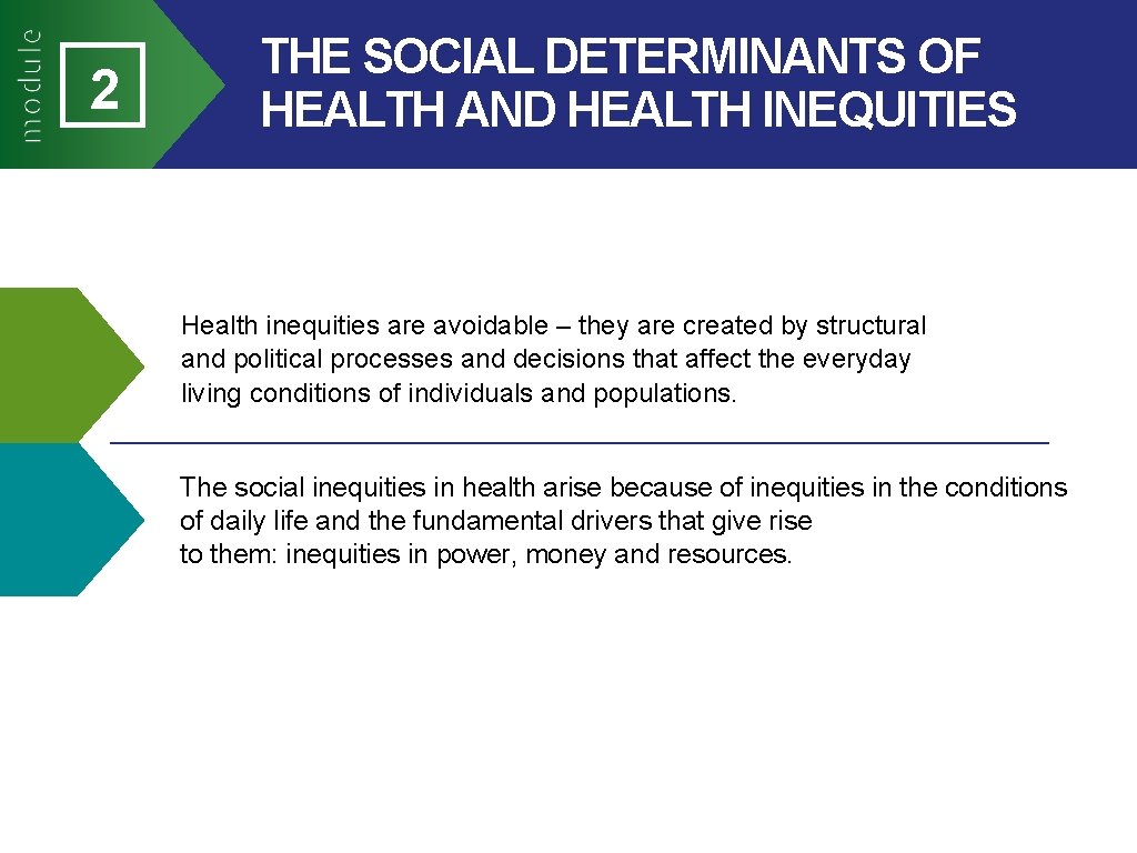 2 THE SOCIAL DETERMINANTS OF HEALTH AND HEALTH INEQUITIES Health inequities are avoidable –
