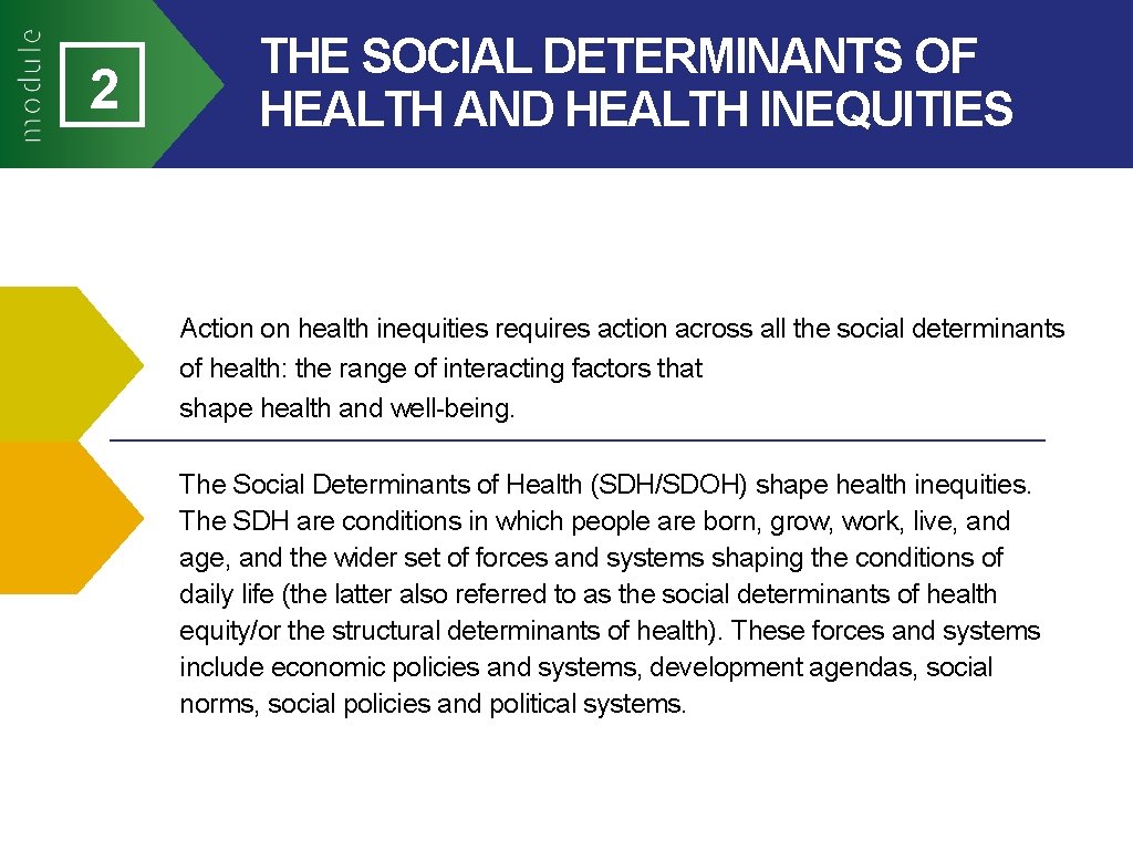 2 THE SOCIAL DETERMINANTS OF HEALTH AND HEALTH INEQUITIES Action on health inequities requires