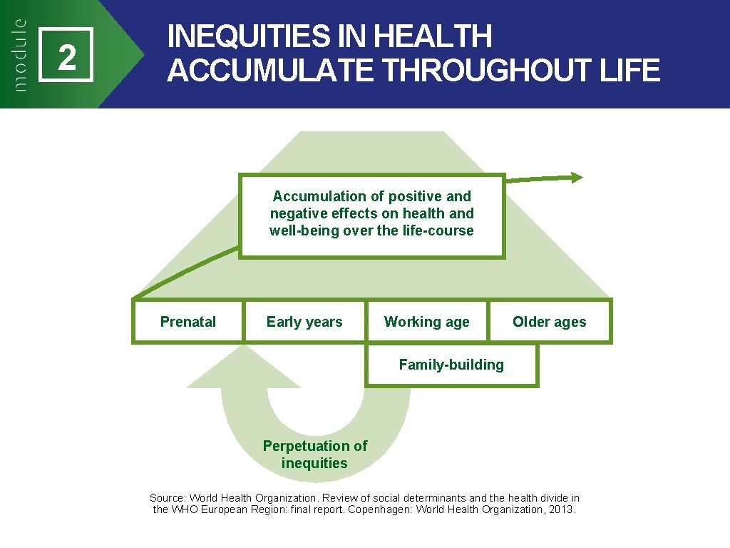 2 INEQUITIES IN HEALTH ACCUMULATE THROUGHOUT LIFE Accumulation of positive and negative effects on