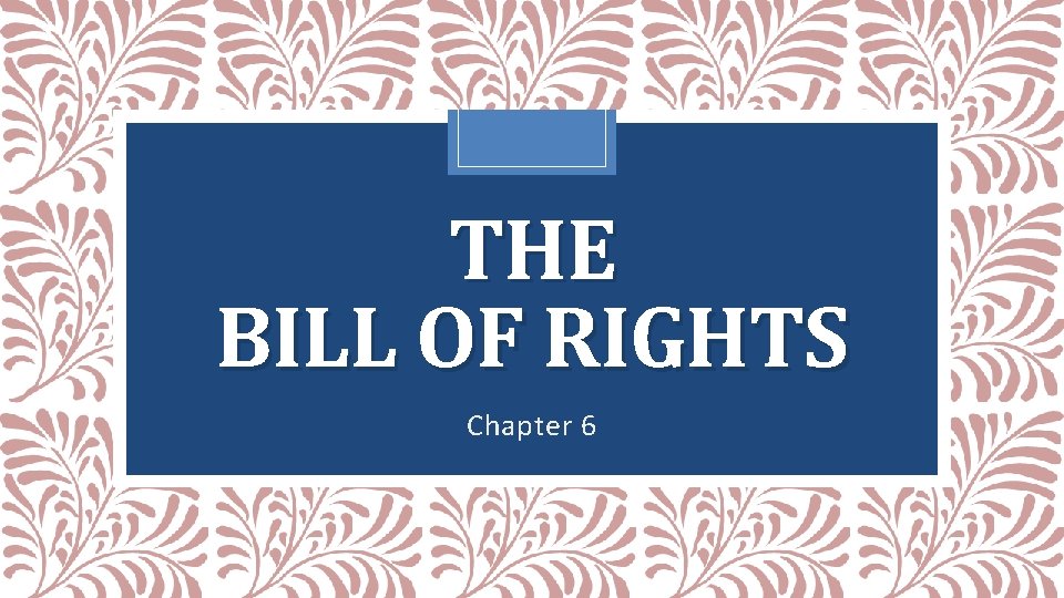 THE BILL OF RIGHTS Chapter 6 
