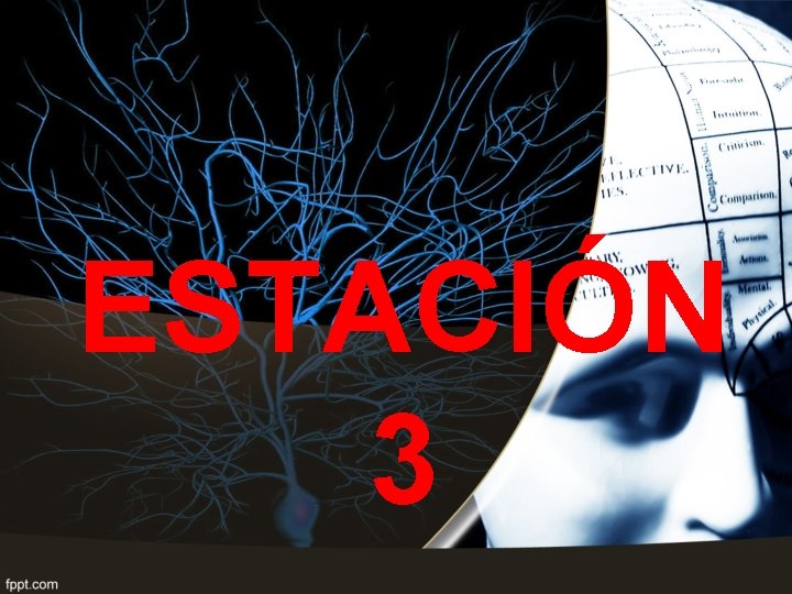 ESTACIÓN 3 