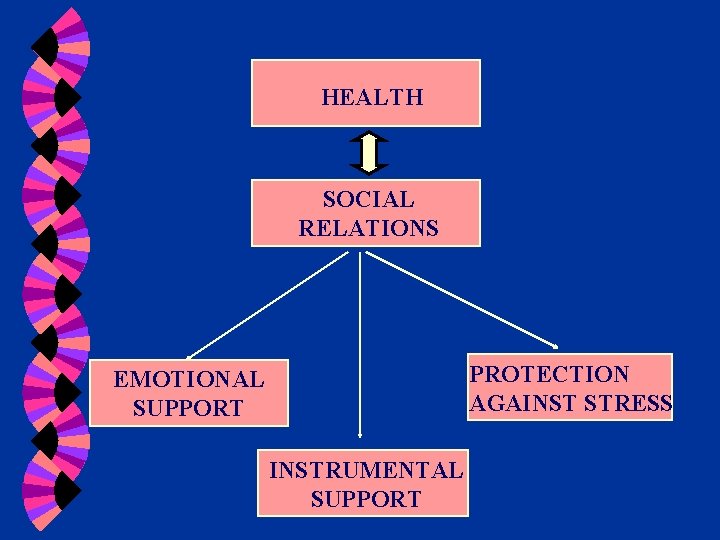 HEALTH SOCIAL RELATIONS PROTECTION AGAINST STRESS EMOTIONAL SUPPORT INSTRUMENTAL SUPPORT 