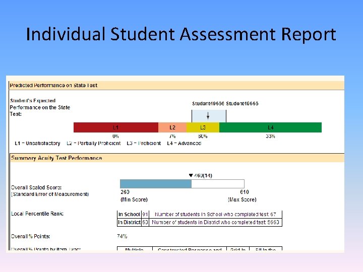 Individual Student Assessment Report 