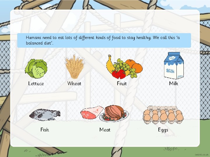 Humans need to eat lots of different kinds of food to stay healthy. We