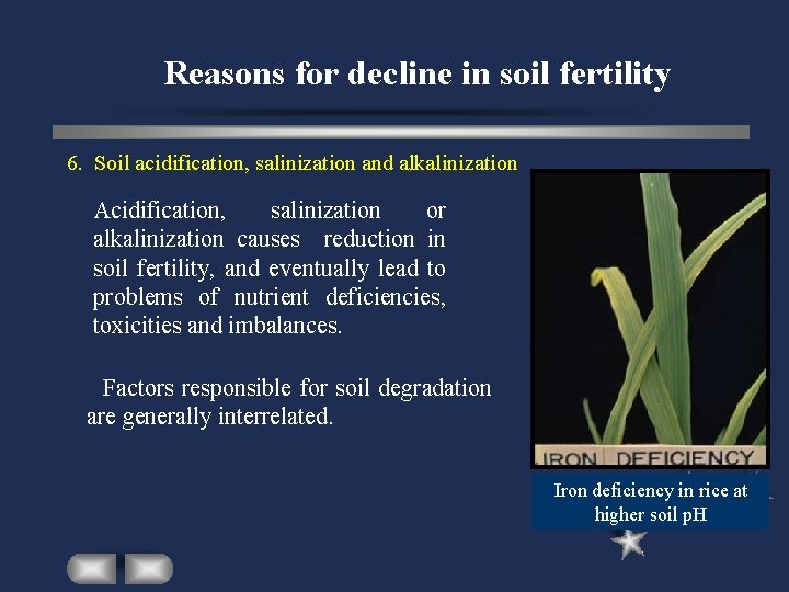 Reasons for decline in soil fertility 6. Soil acidification, salinization and alkalinization Acidification, salinization