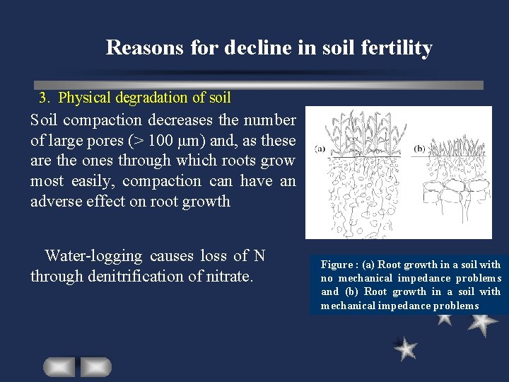 Reasons for decline in soil fertility 3. Physical degradation of soil Soil compaction decreases