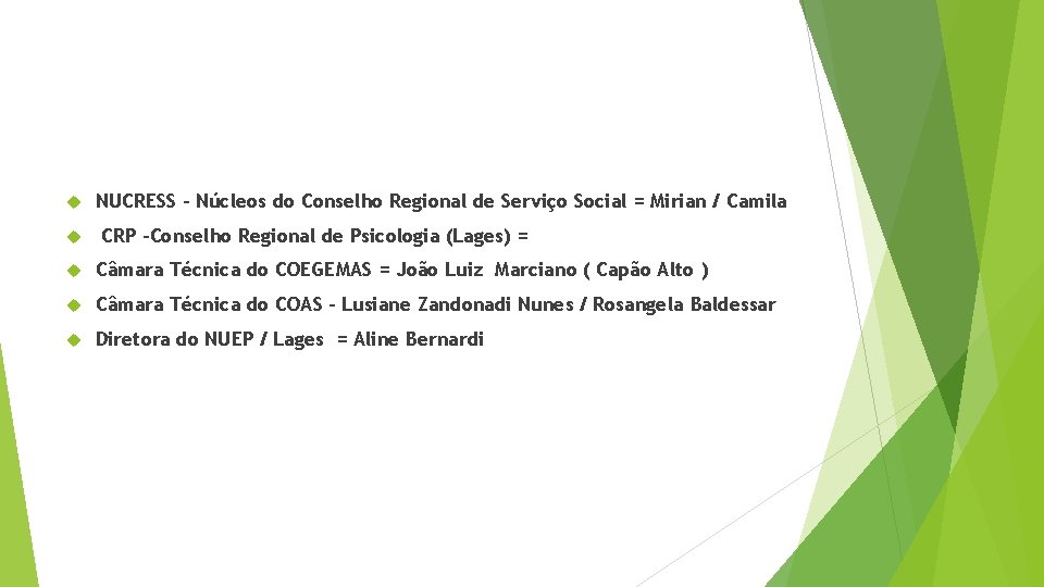  NUCRESS – Núcleos do Conselho Regional de Serviço Social = Mirian / Camila