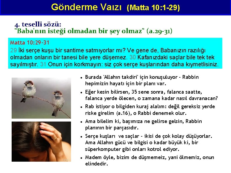 Gönderme Vaızı (Matta 10: 1 -29) 4. teselli sözü: "Baba'nın isteği olmadan bir şey