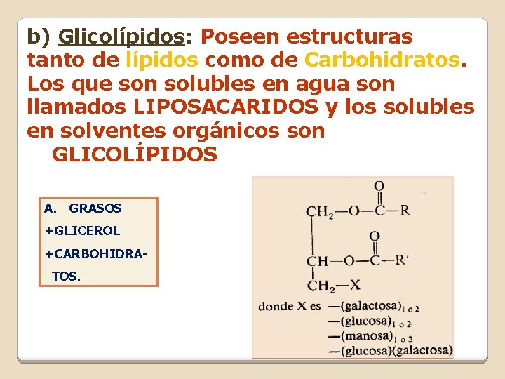 b) Glicolípidos: Poseen estructuras tanto de lípidos como de Carbohidratos. Los que son solubles b) Glicolípidos: Poseen estructuras tanto de lípidos como de Carbohidratos. Los que son solubles