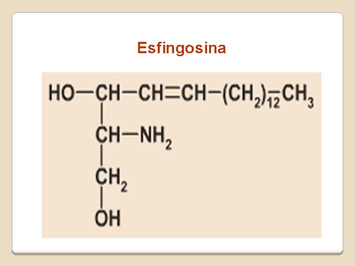 Esfingosina Esfingosina