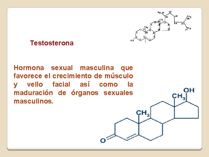 Testosterona Hormona sexual masculina que favorece el crecimiento de músculo y vello facial así Testosterona Hormona sexual masculina que favorece el crecimiento de músculo y vello facial así