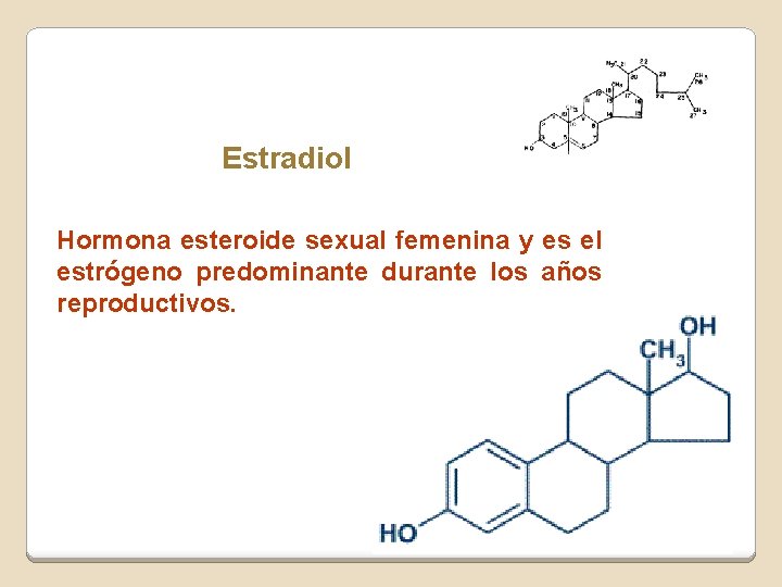 Estradiol Hormona esteroide sexual femenina y es el estrógeno predominante durante los años reproductivos. Estradiol Hormona esteroide sexual femenina y es el estrógeno predominante durante los años reproductivos.