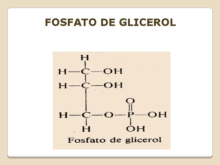 FOSFATO DE GLICEROL FOSFATO DE GLICEROL
