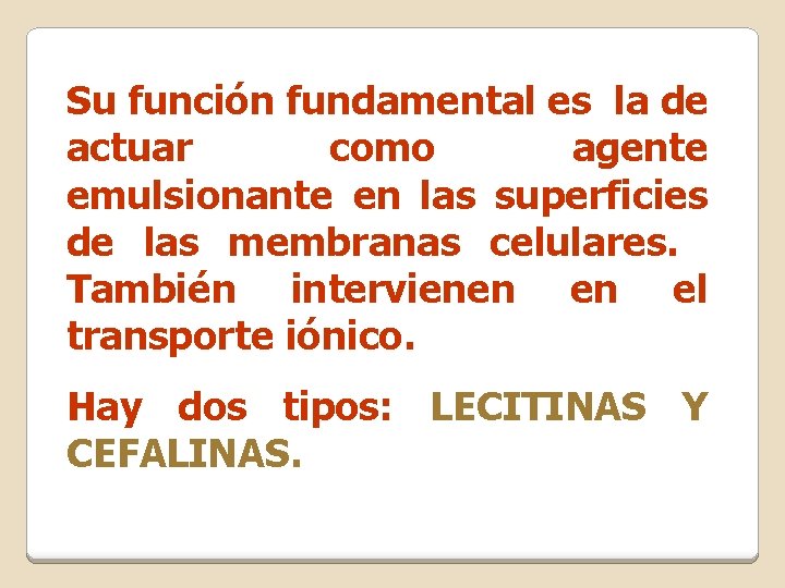 Su función fundamental es la de actuar como agente emulsionante en las superficies de Su función fundamental es la de actuar como agente emulsionante en las superficies de