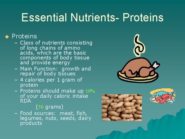Essential Nutrients- Proteins u Proteins – Class of nutrients consisting of long chains of