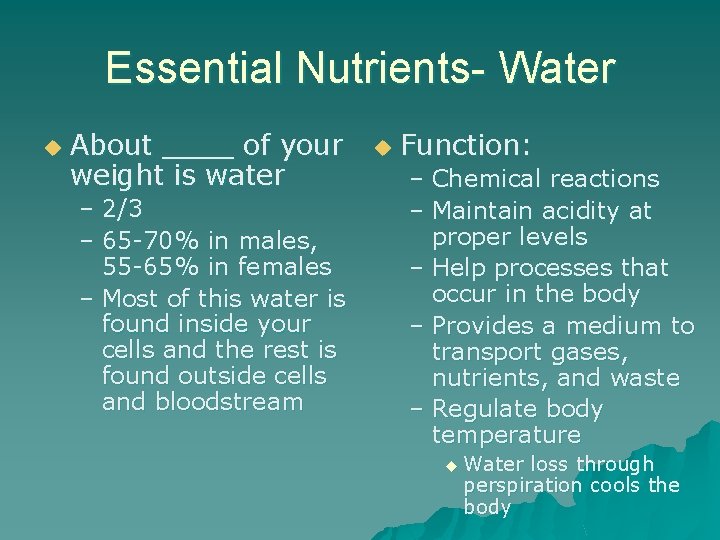 Essential Nutrients- Water u About ____ of your weight is water – 2/3 –