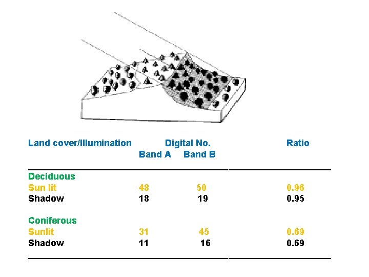 Land cover/Illumination Digital No. Ratio Band A Band B ______________________________ Deciduous Sun lit 48 Land cover/Illumination Digital No. Ratio Band A Band B ______________________________ Deciduous Sun lit 48