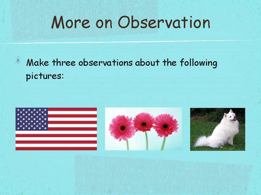 More on Observation Make three observations about the following pictures: 