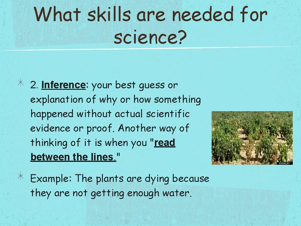 What skills are needed for science? 2. Inference: your best guess or explanation of