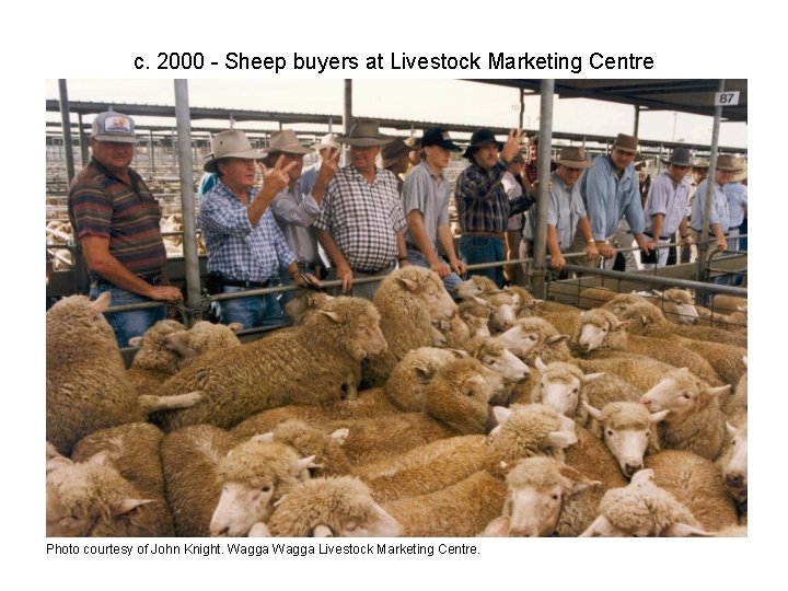 c. 2000 - Sheep buyers at Livestock Marketing Centre Photo courtesy of John Knight.