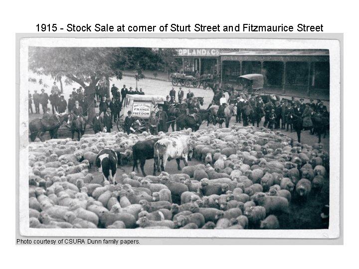 1915 - Stock Sale at corner of Sturt Street and Fitzmaurice Street Photo courtesy