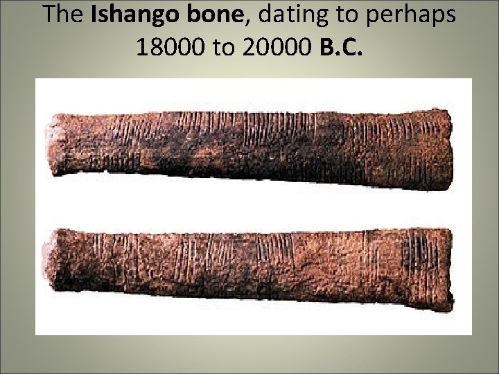 The Ishango bone, dating to perhaps 18000 to 20000 B. C. The Ishango bone, dating to perhaps 18000 to 20000 B. C.