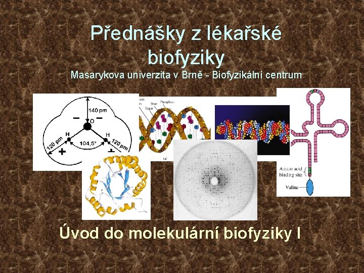 Přednášky z lékařské biofyziky Masarykova univerzita v Brně - Biofyzikální centrum Úvod do molekulární