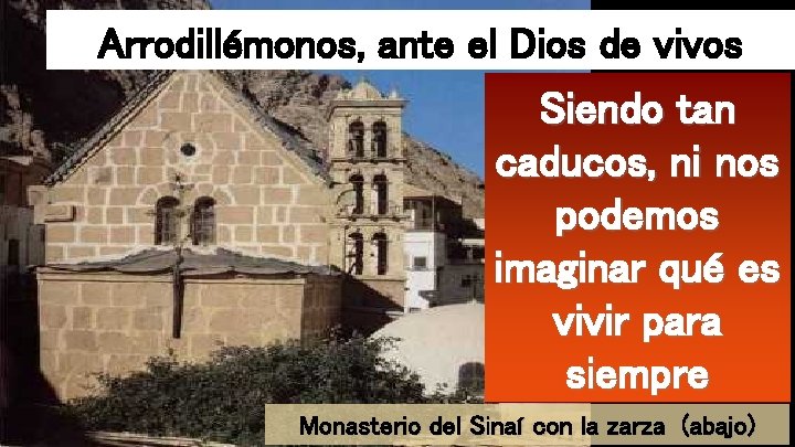 Arrodillémonos, ante el Dios de vivos Siendo tan caducos, ni nos podemos imaginar qué