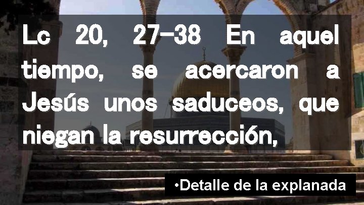 Lc 20, 27 -38 En aquel tiempo, se acercaron a Jesús unos saduceos, que