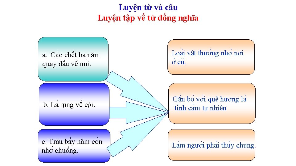 Luyện từ và câu Luyện tập về từ đồng nghĩa a. Ca o chê