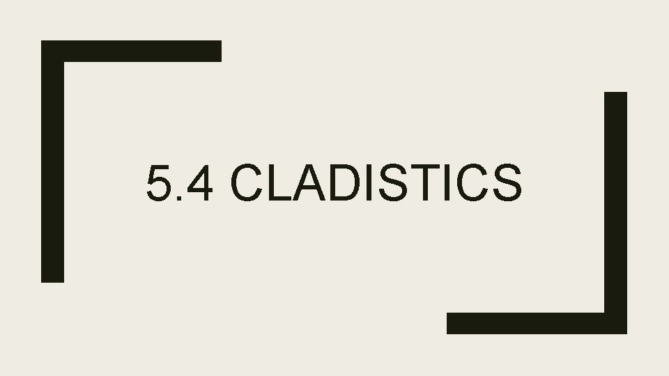 5. 4 CLADISTICS 