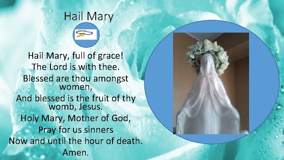 Hail Mary, full of grace! The Lord is with thee. Blessed are thou amongst