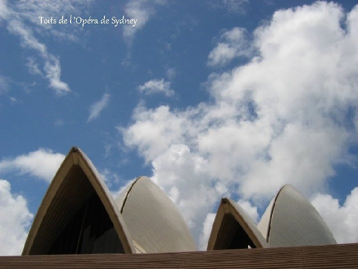 Toits de l ’Opéra de Sydney 