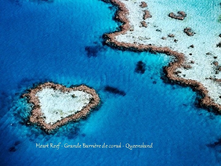 Heart Reef - Grande Barrière de corail - Queensland 