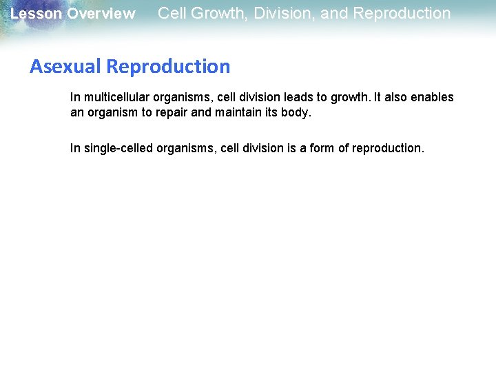 Lesson Overview Cell Growth, Division, and Reproduction Asexual Reproduction In multicellular organisms, cell division