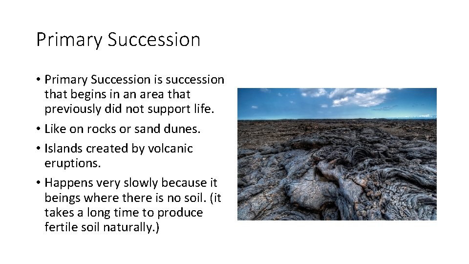 Primary Succession • Primary Succession is succession that begins in an area that previously