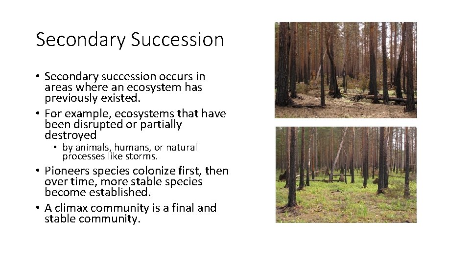 Secondary Succession • Secondary succession occurs in areas where an ecosystem has previously existed.