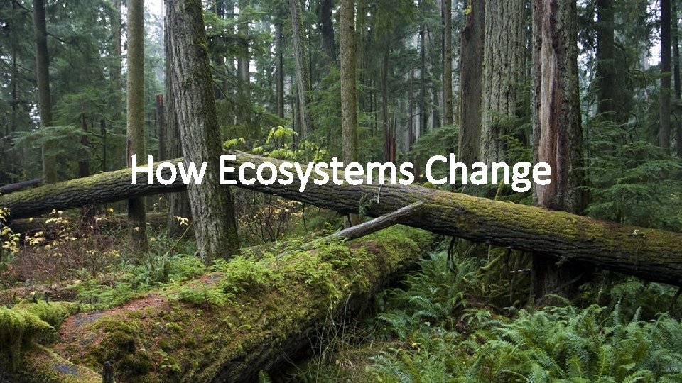 How Ecosystems Change 