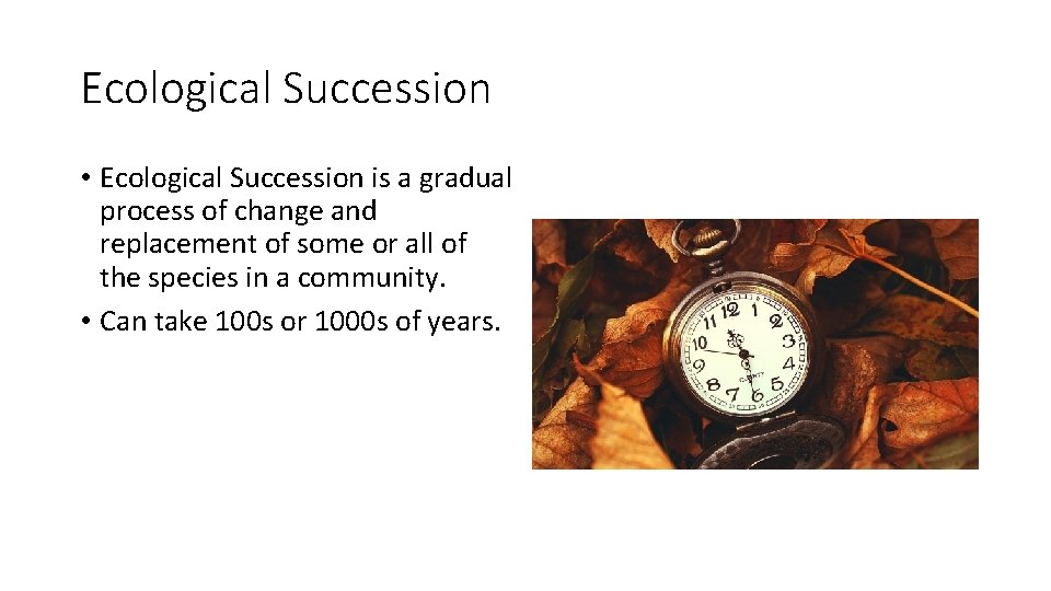 Ecological Succession • Ecological Succession is a gradual process of change and replacement of