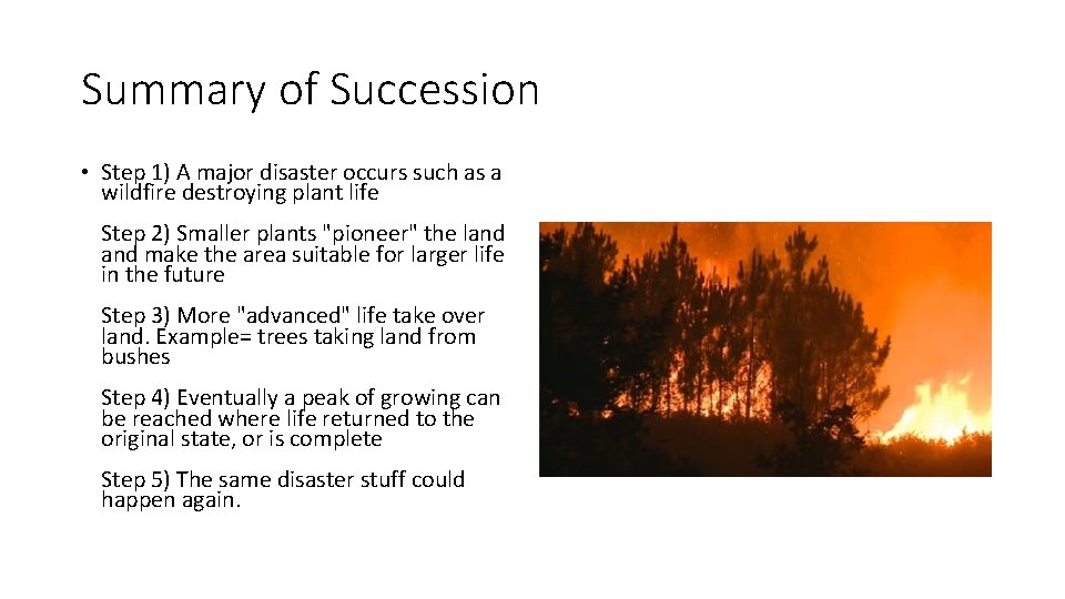 Summary of Succession • Step 1) A major disaster occurs such as a wildfire