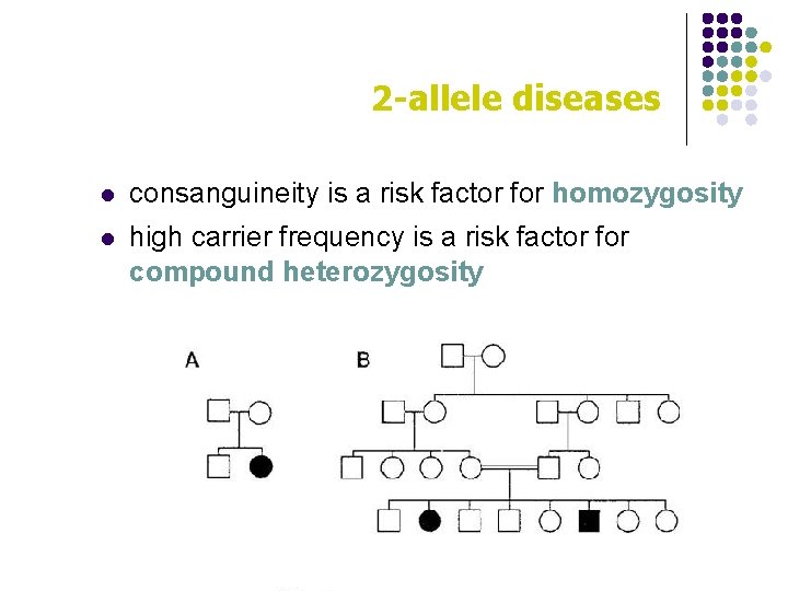 2 -allele diseases l consanguineity is a risk factor for homozygosity l high carrier