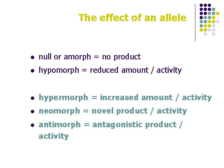 The effect of an allele l null or amorph = no product l hypomorph