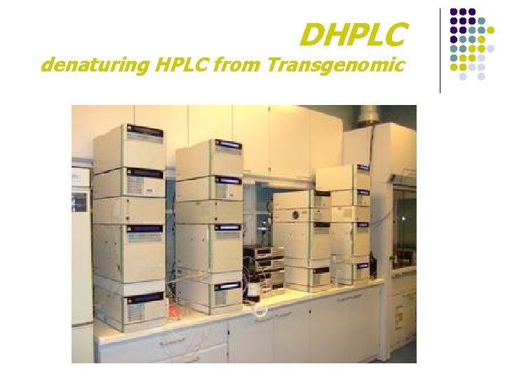 DHPLC denaturing HPLC from Transgenomic 