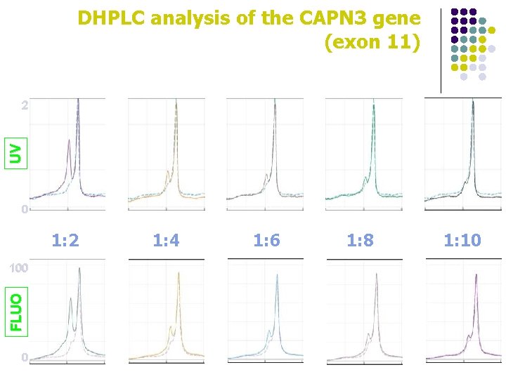 DHPLC analysis of the CAPN 3 gene (exon 11) UV 2 0 1: 2