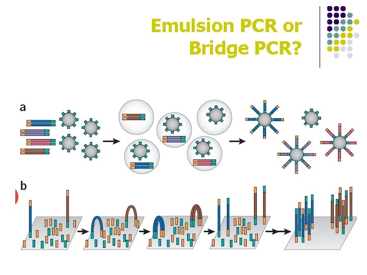 Emulsion PCR or Bridge PCR? 