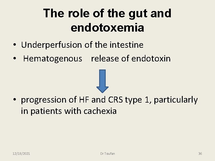 The role of the gut and endotoxemia • Underperfusion of the intestine • Hematogenous