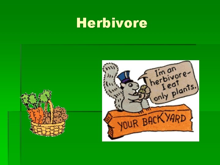 Herbivore 